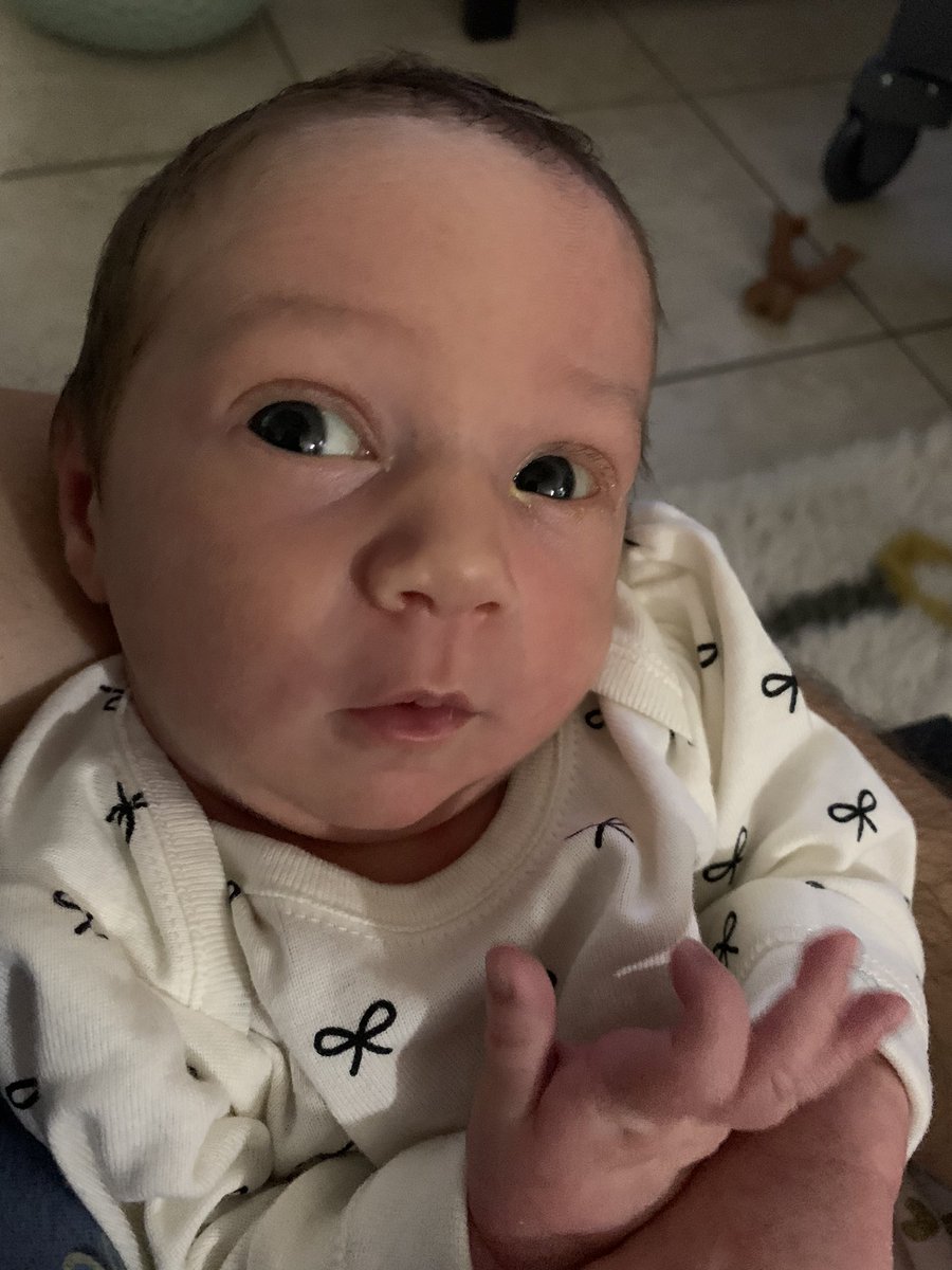 BakerRLMS's tweet photo. Introducing Norah Baker— pumped to be part of the SCPS Class of 2038!!  @SCPSInfo @RockLakeMiddle @GreatStartSCPS https://t.co/dZou24Rbcl