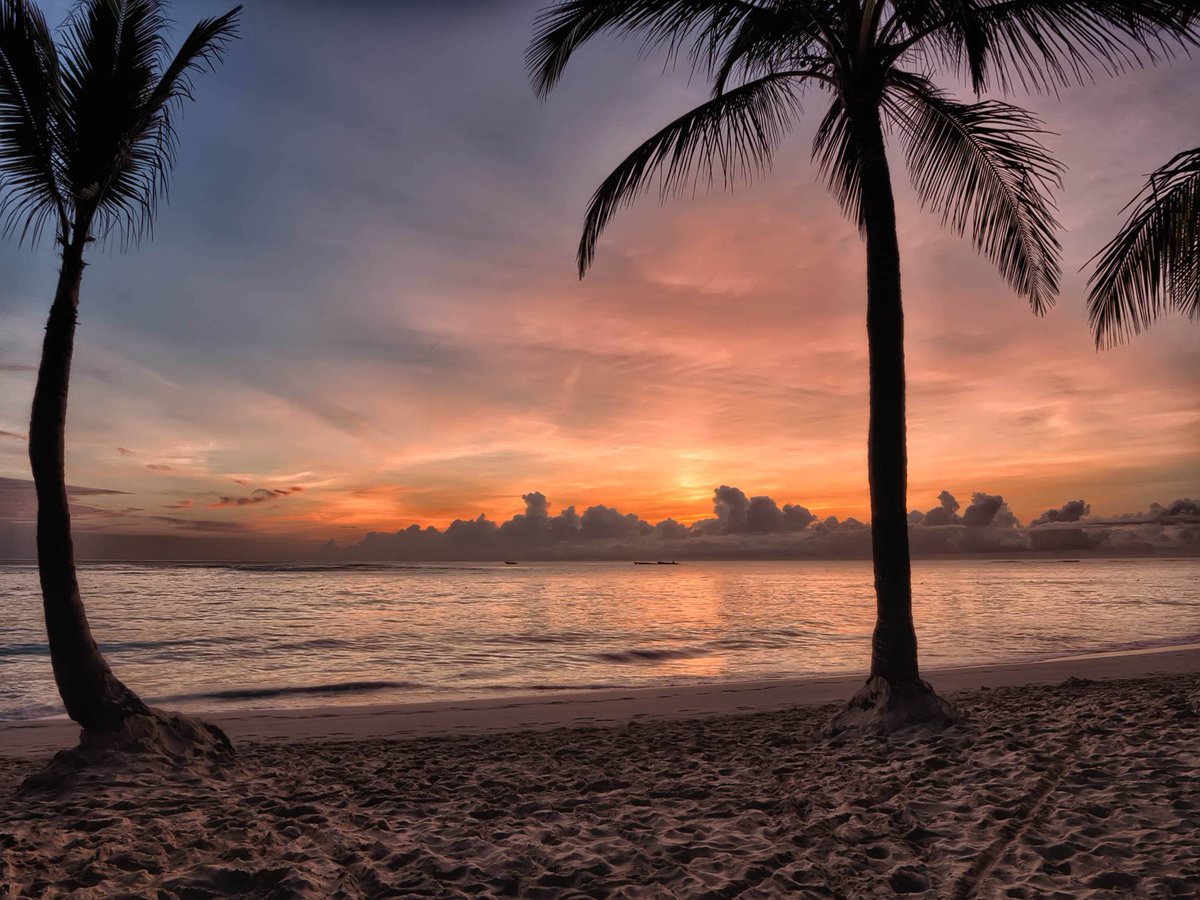 packyoursim's tweet photo. Who will you watch the sunset with? #packyoursim

#travel #beach #palmtrees #chill #travelgram #holiday #worktrip #stunning #beautifuldestinations #travelblogger #traveling #travelling #traveltips #roamtheplanet #nature #photography #love #travelphotography #photooftheday
… https://t.co/7MtZsJAVwg