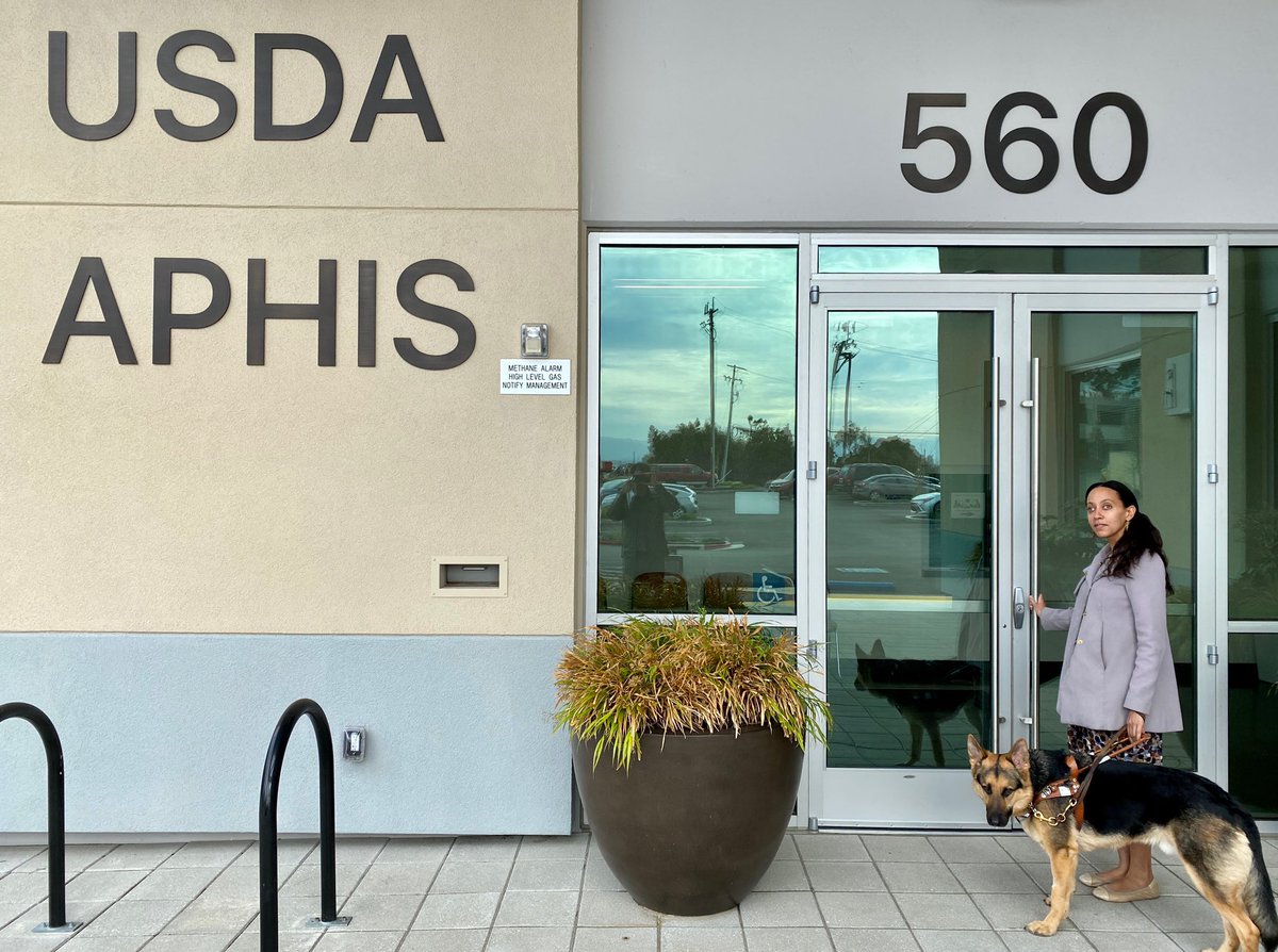 I’m standing at the front door of the USDA APHIS building in South San Francisco. I have my hand on the door and am standing in profile looking serious and determined. Mylo is pointing his big ears. Above the door it says “560” in huge letters, and on the far left side it says “USDA APHIS.” There is a big potted plant in the middle.