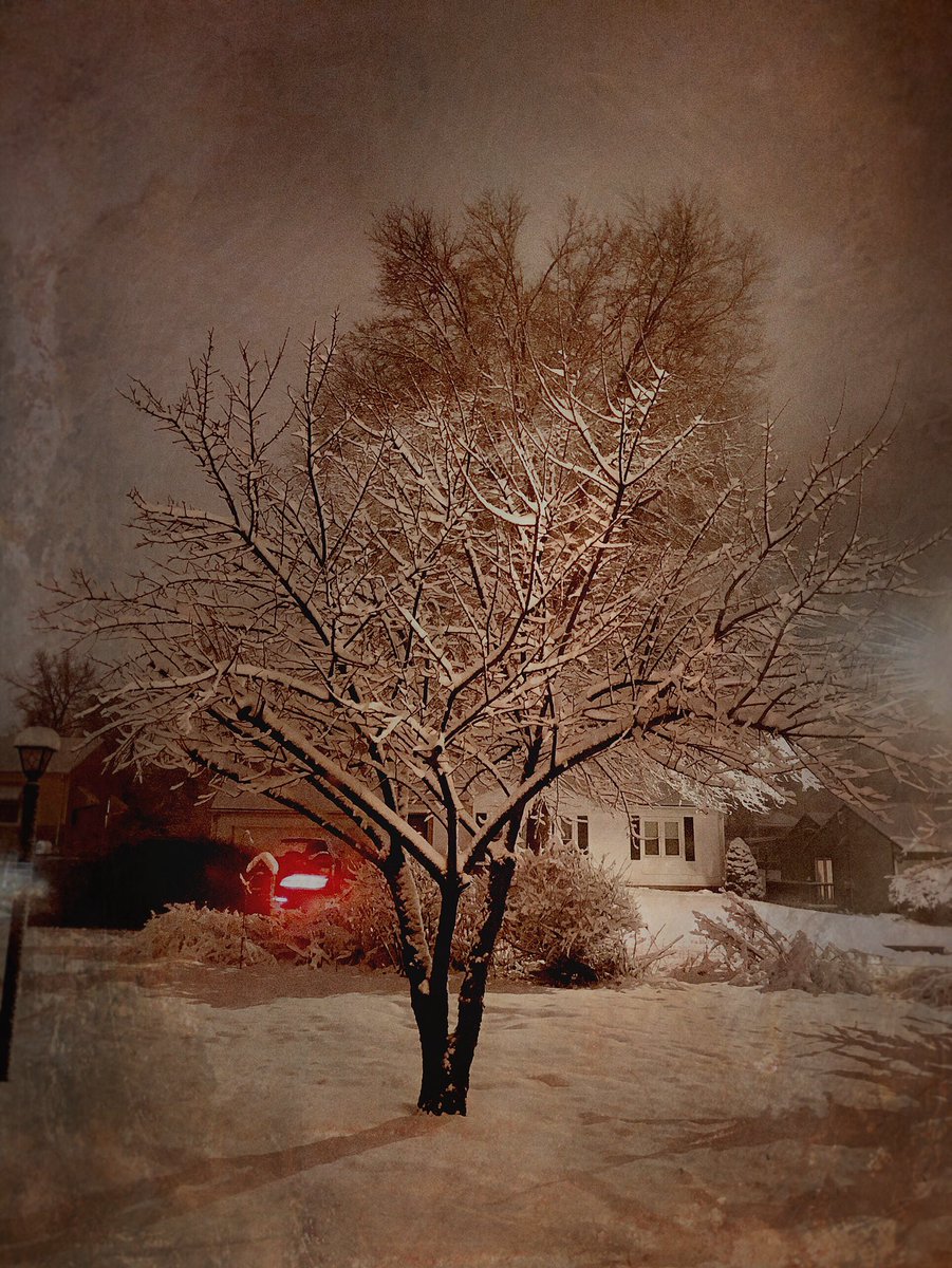 dckahoe's tweet photo. Snowy yard this morning #WarrensburgMo
⚪️
⚪️
#NeuralCam #Snapseed #distressedfx #iphoneography #iphone8plus #mobiography #MidwestMagic #mymissourilife #hereisgood #IfoundthisthinginterestingandIthinkyoushouldlooktoo https://t.co/x3Iq2X5Gcd