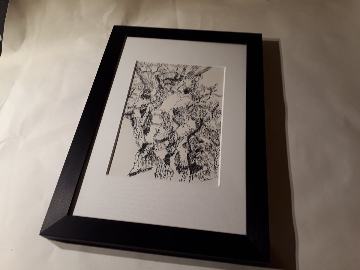 CorrinTulk's tweet photo. #Kingoak #penandink framed ready for solo @fairhavengarden 25 Feb -1 March #woods @thenfkbroads @MuseumBroads @atnorfolk https://t.co/bZwHv1uXnm