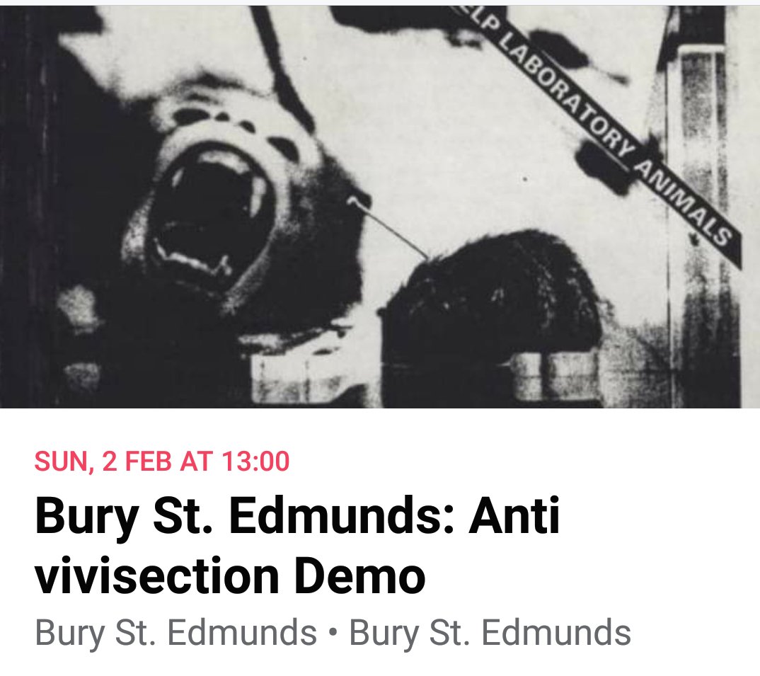 SuffolkActivism's tweet photo. Our next anti vivisection demo will be Sunday 2nd Feb in Bury. Please join us if you can. 
.
#AnimalRights #Vivisection #AntiVivisection #EndAnimalTesting #Activism https://t.co/bvKwlPIqt2
