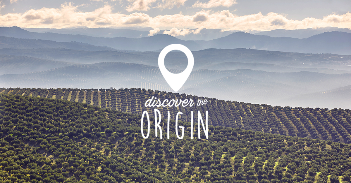 Thanks to centuries of history and tradition in production methods, today we can taste the best #Europeanolives at our tables. #Origin bit.ly/2tc8cpg