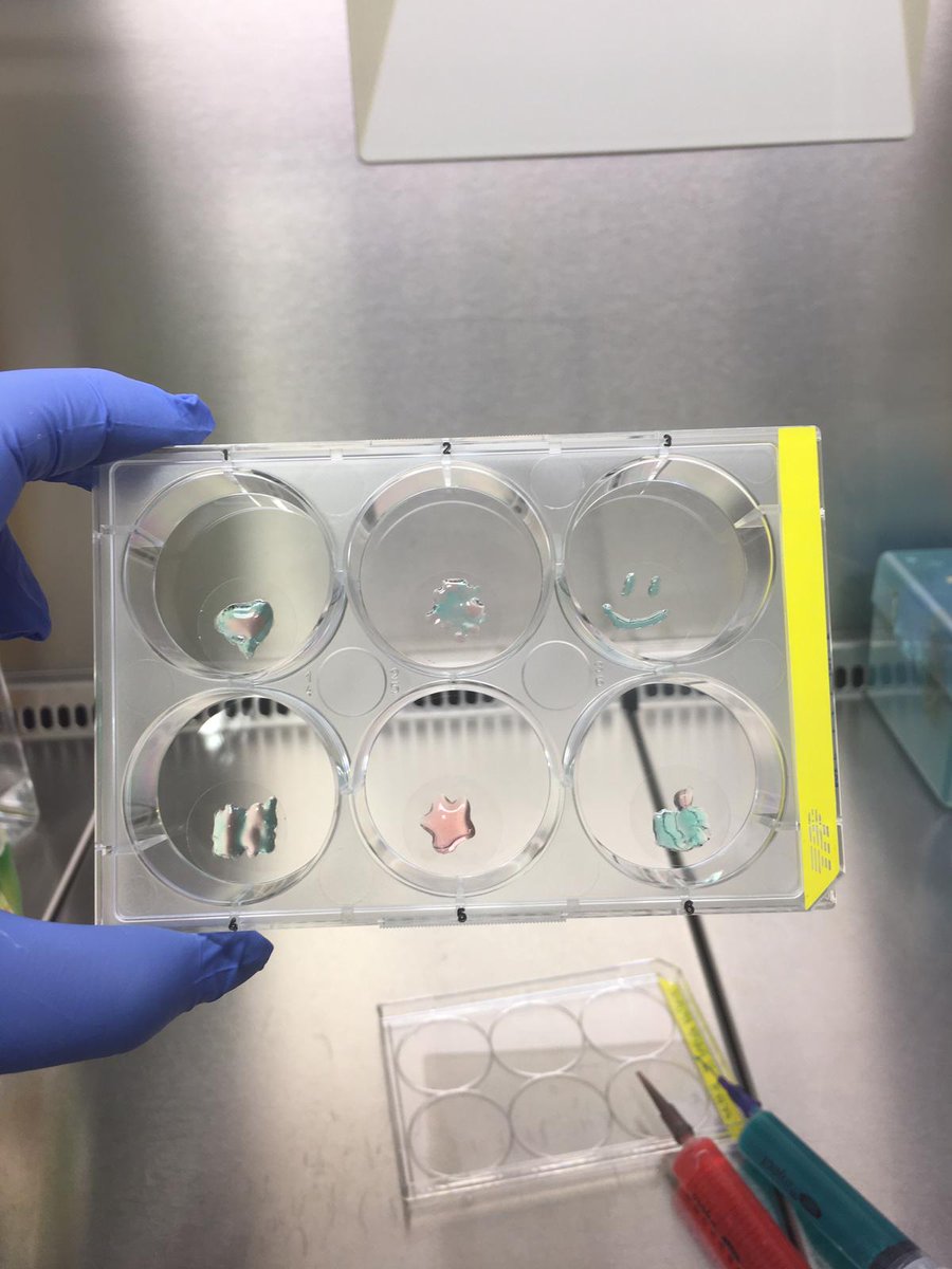 Kutlu Lab tweet media