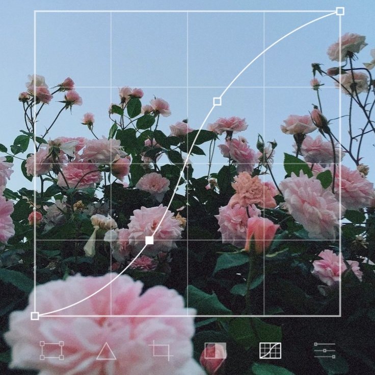 _multifandom_04's tweet photo. 🌸🎀🧸☁️ https://t.co/N8ftOhbzTY