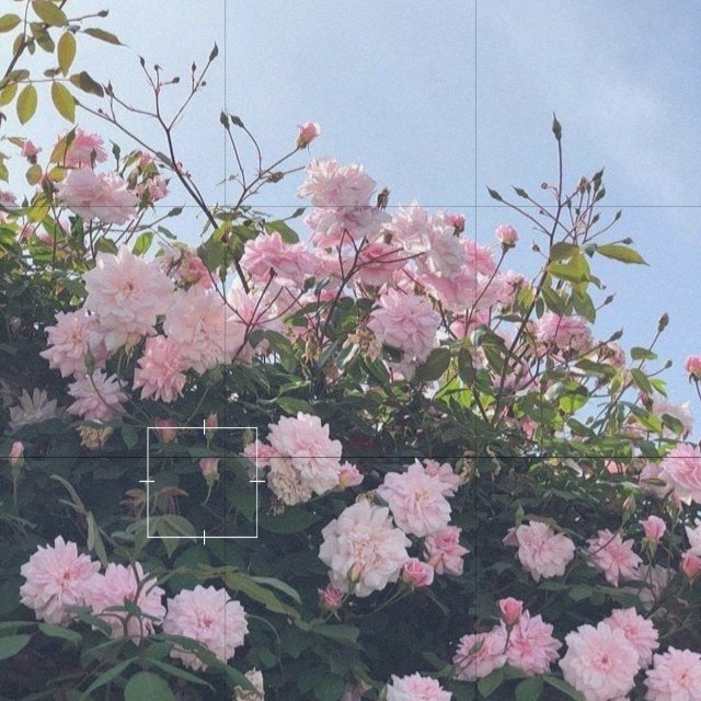 _multifandom_04's tweet photo. 🌸🎀🧸☁️ https://t.co/N8ftOhbzTY