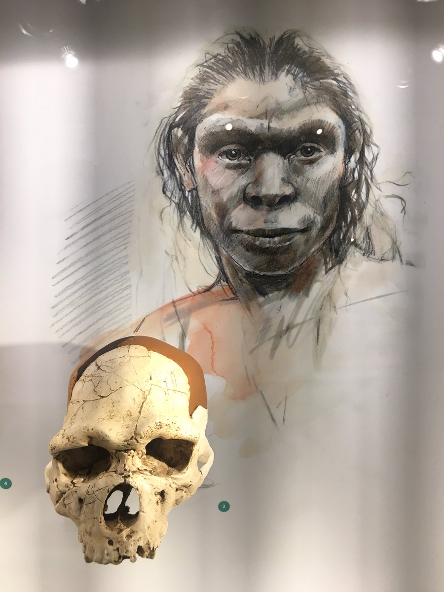 Nanouche31g's tweet photo. Jour de l’inauguration des sites archéologiques et du Musée de #Montmaurin.
 #comminges #archéologie #Musée #hautegaronne #tourismehg https://t.co/TDZEpqGJ4V