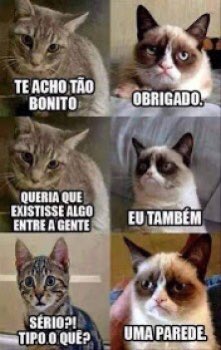 CadeosBR's tweet photo. 😂🤣😂🤣

#gatos #humor #meme #memes2020 #memeanimais https://t.co/KWOmQBwj94