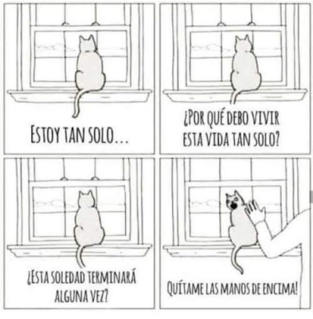 saraiferro's tweet photo. https://t.co/7zMyvvzJKf
