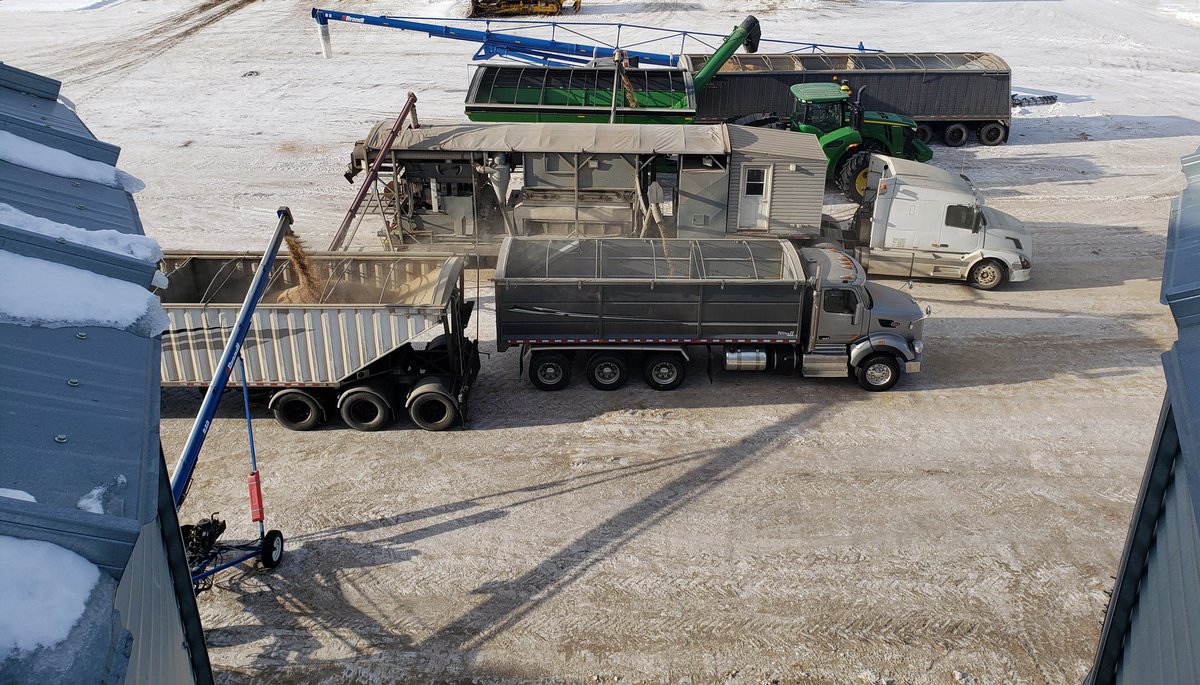 neuviewfarms's tweet photo. Nice weather to clean grain 

#plant2020 https://t.co/hCPcSmZyT2