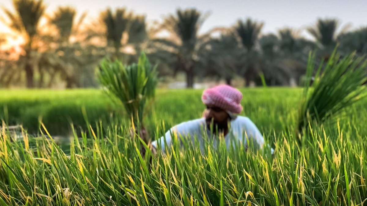 #أهلاً_بالعالم في الشرقية
من شواطئ #الخليج_العربي وعبر تلال #واحة_الأحساء الخضراء وصولاً لأعماق الربع الخالي
تعرّف على #المنطقة_الشرقية أكثر :
visitsaudi.com/ar/see/regions…
#زوروا_السعودية