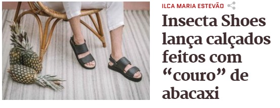 _Vvinni's tweet photo. Sandálias do vacilo, já compraram as suas? 
@TheCrepitos https://t.co/ejVcspGWSy