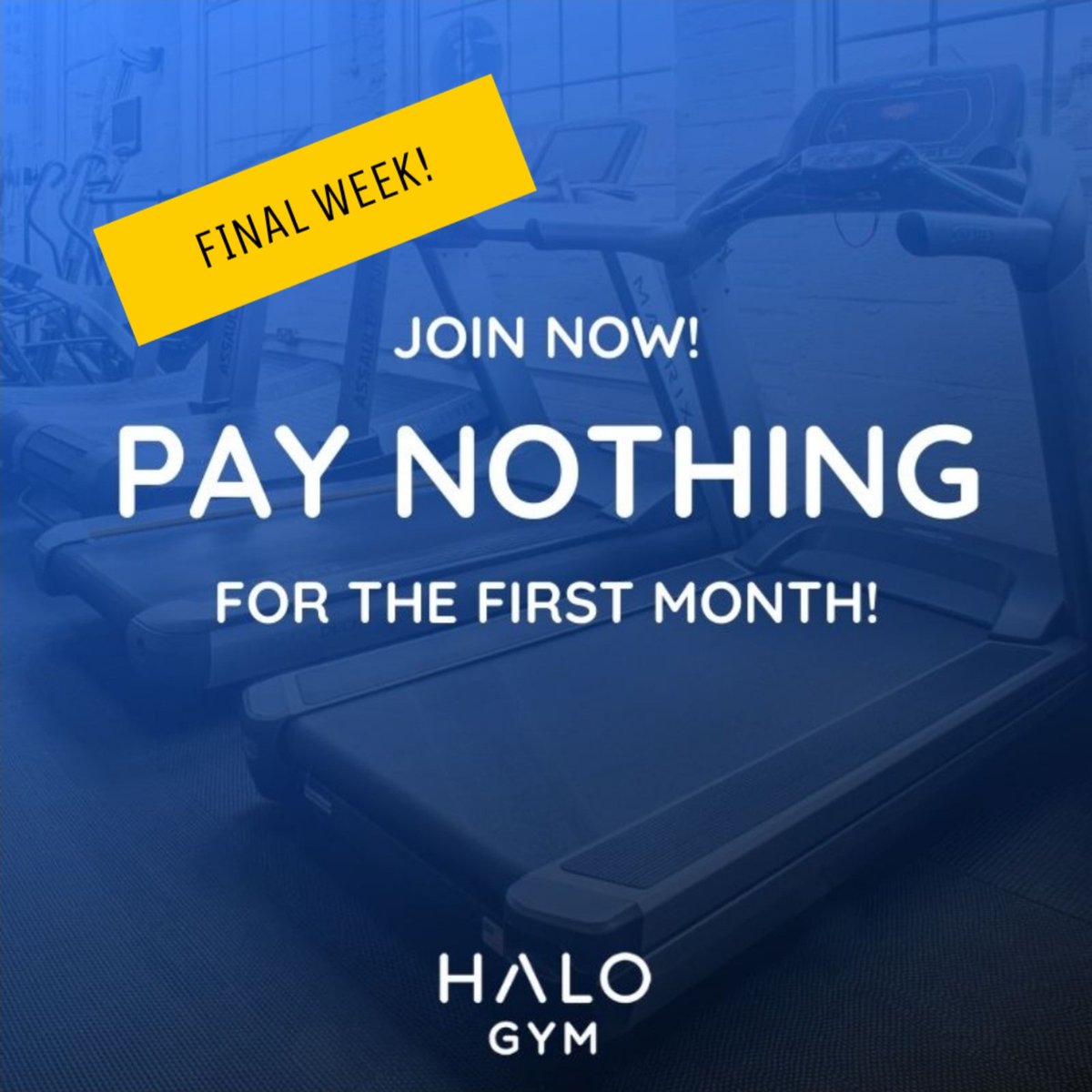 HaloGym's tweet photo. MEMBERSHIP OFFER - FINAL WEEK! 
. 
Sign up  now and get the first month absolutely FREE!*
. 
See reception, or visit our website and follow link to sign-up page - enter promo code: JAN1
. 
Offer open until Friday 31st January.
.
*t&amp;c's apply.
#tunbridgewells #FitnessMotivation https://t.co/wFnnosJvJC