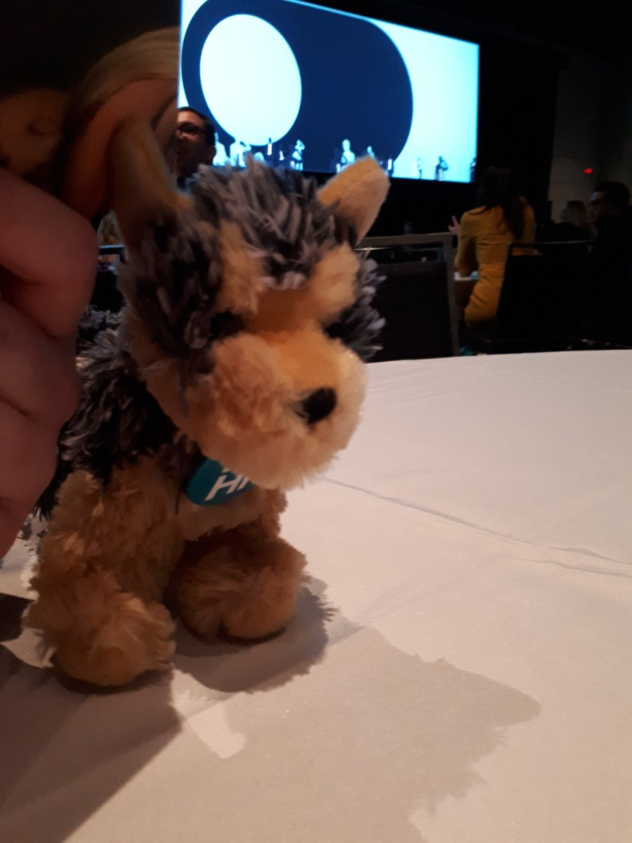 Great to meet so many friendly faces from York Chapter! #IFoundYorkie #HRPAAC #HRPAYR