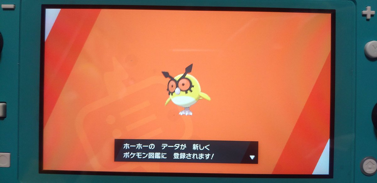 クスノキ 始めて2時間で出てくれたホーホーの色違い 友人との約束は3日以内 ポケモン ポケモンソードシールド