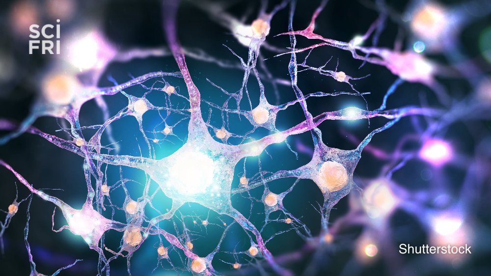 a computer illustration of neurons lighting up