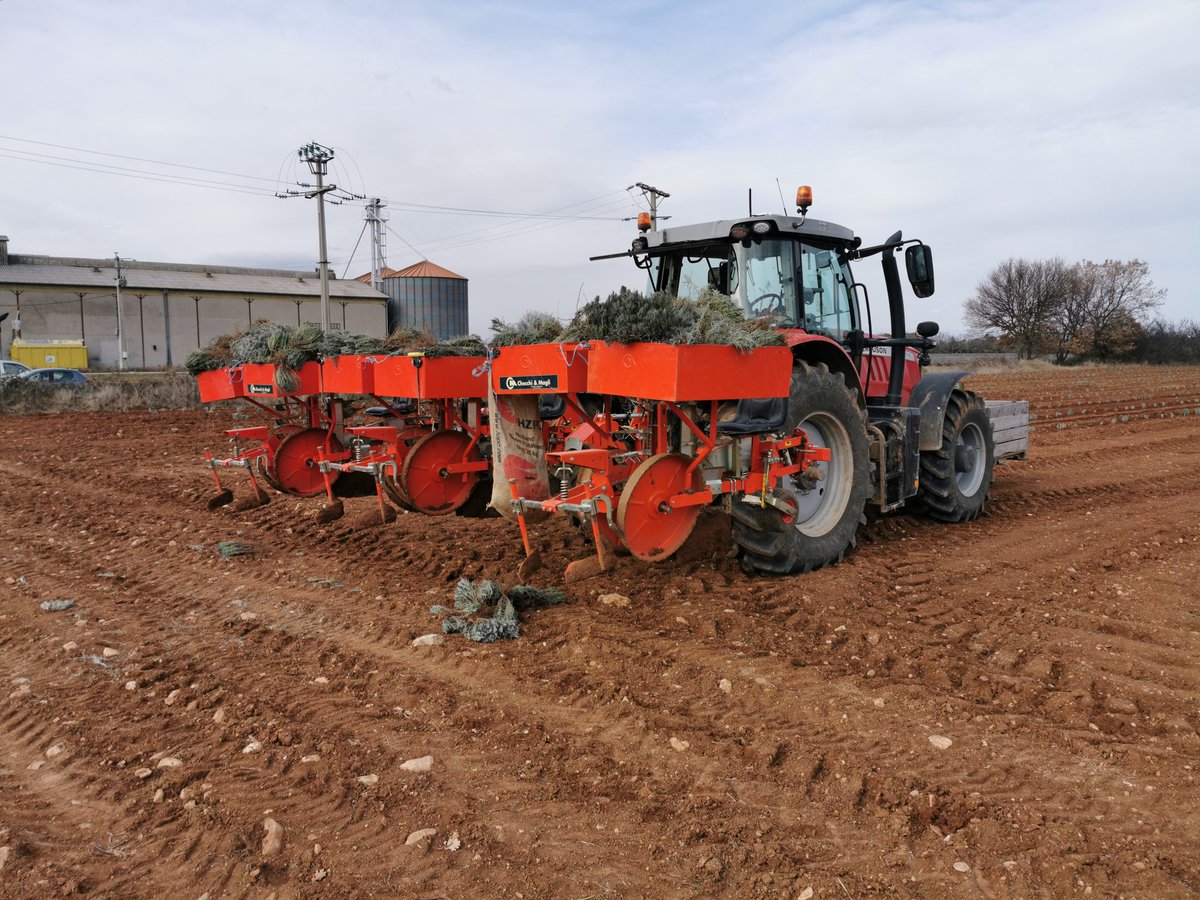VernetDenis's tweet photo. Préparation et plantation du lavandin 2020 avec une belle équipe de @Massey_Ferguson et grâce au guidage @Trimble_MEP_Fr @VantageAM. Petits problèmes de calage de lignes et de signal sur le dernier GPS 100% Massey mais ça va le faire 😅👍🤞🤠 https://t.co/MyjWLWXeUG