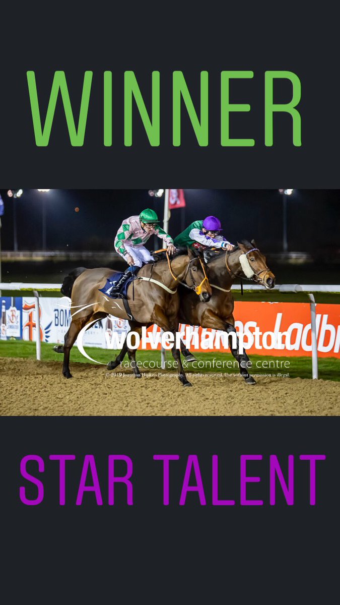 GeorgeRooke6's tweet photo. Star talent get his head front for trainer @GayKelleway in the 6:45 at Wolverhampton 💜💚 https://t.co/ZonWDazLc0