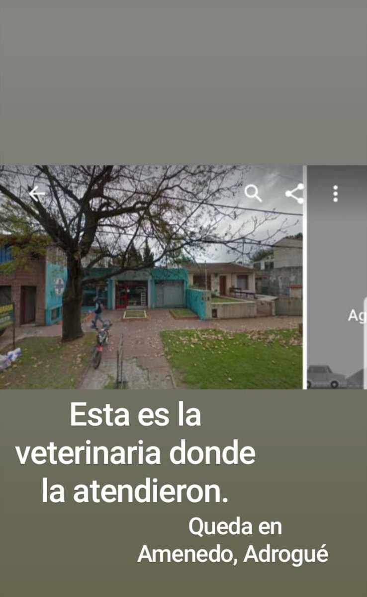 Hoy mi prima mando a castrar a su perra a la veterinaria de AMENEDO 125 y la atendieron tan mal q la gorda casi se muere desangrada. 
Le tienen que abrir el abdomen porque la hemorragia es interna. 
POR FAVOR COMPARTIR, estos hijos de la mierda juegan con la vida de los animales