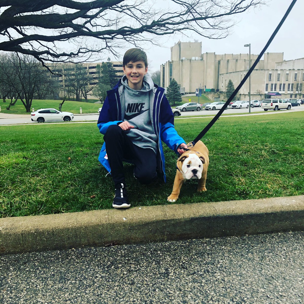 cbcolleary's tweet photo. Buffalo meets Blue!🐶 https://t.co/SItmorWAnK