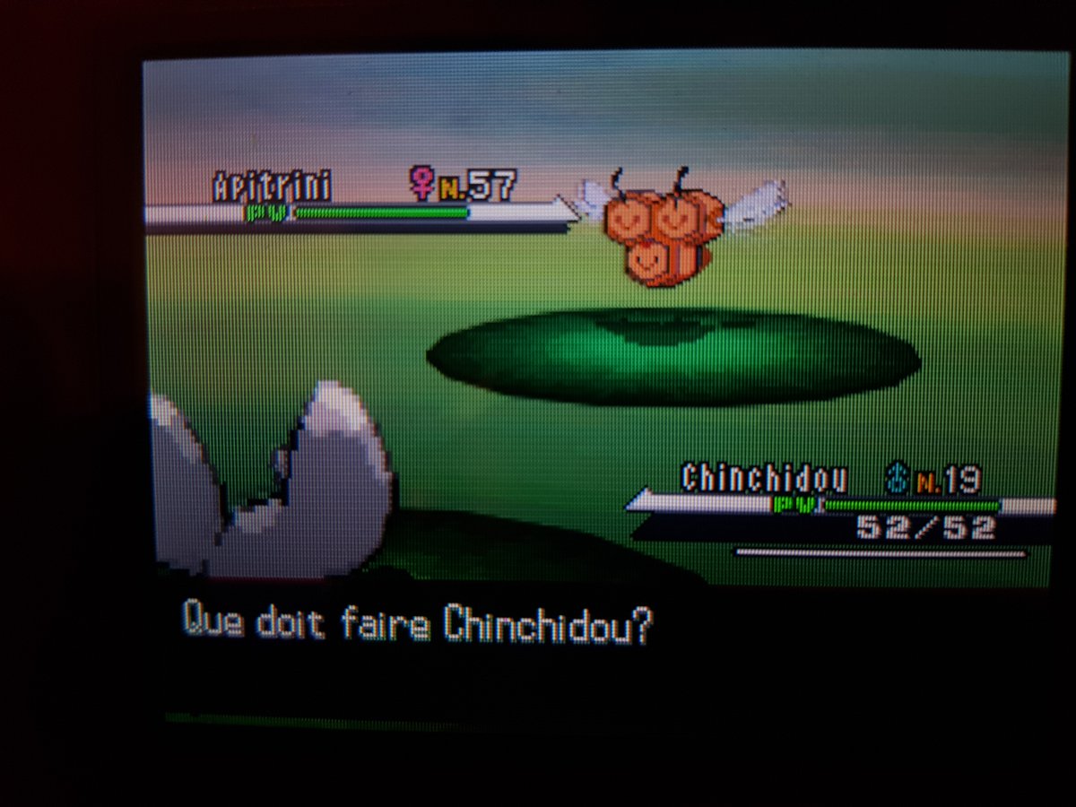 Boloras's tweet photo. Shasse commencée hier sur Blanc en parallèle de ma shasse sur Perle qui elle ne brille toujours pas (23 367 actuellement), 1777 rencontres herbes doubles aidé d'un joli sourire au cas où @NyralliaSH @strange_juh @electra_game @GalinoTV @CocoPepS https://t.co/BWMjxLji5n
