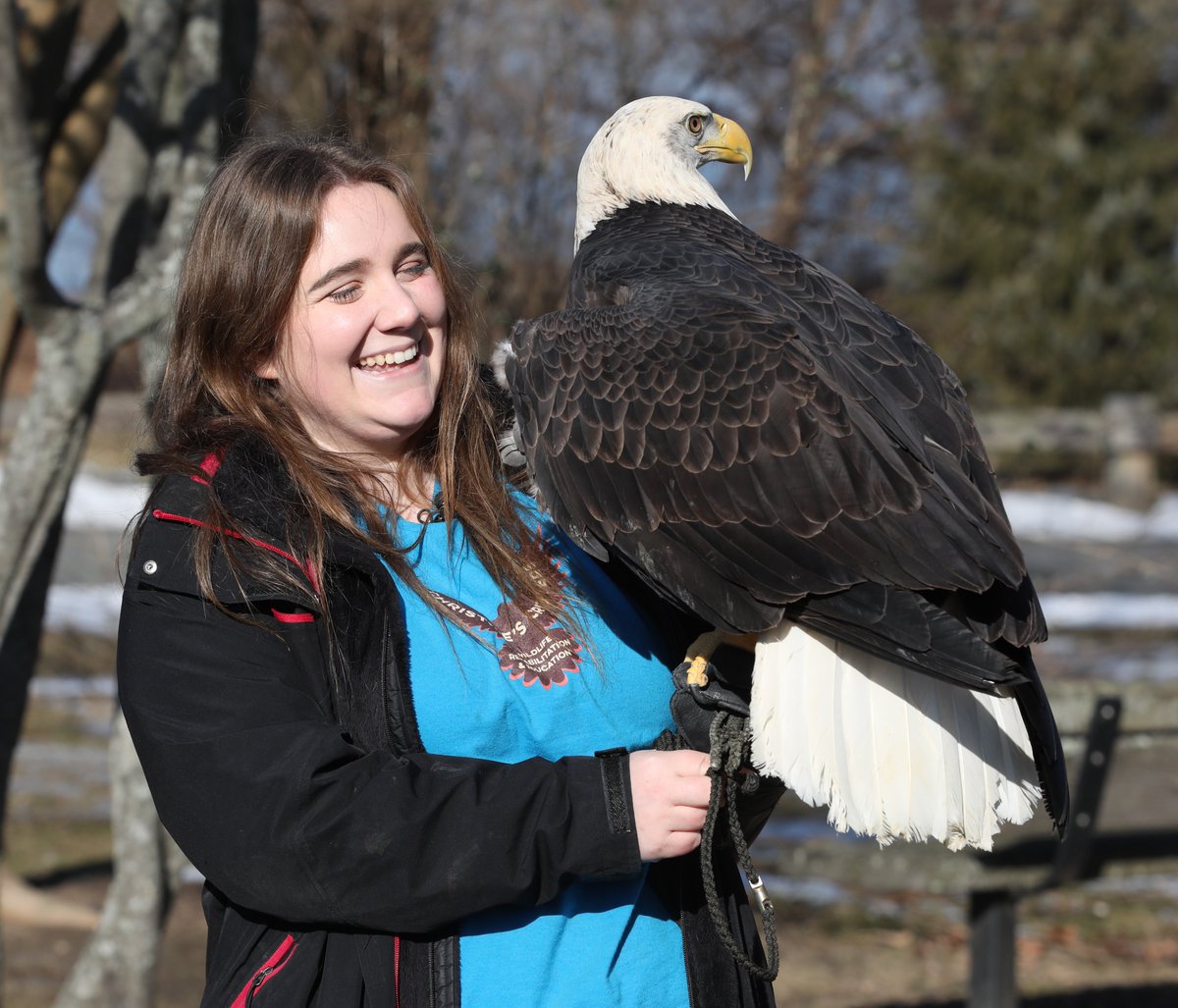MarkVergari's tweet image. Check out my preview video bit.ly/2RLdPmN via @lohud, as the 16th annual @Teatown_  #EagleFest returns to Croton Point Park, Feb. 8, 2020. @WestchesterPark @westchestergov @JosefaPR @WestchesterPR @livinghereNY @featuresed @carrieyale