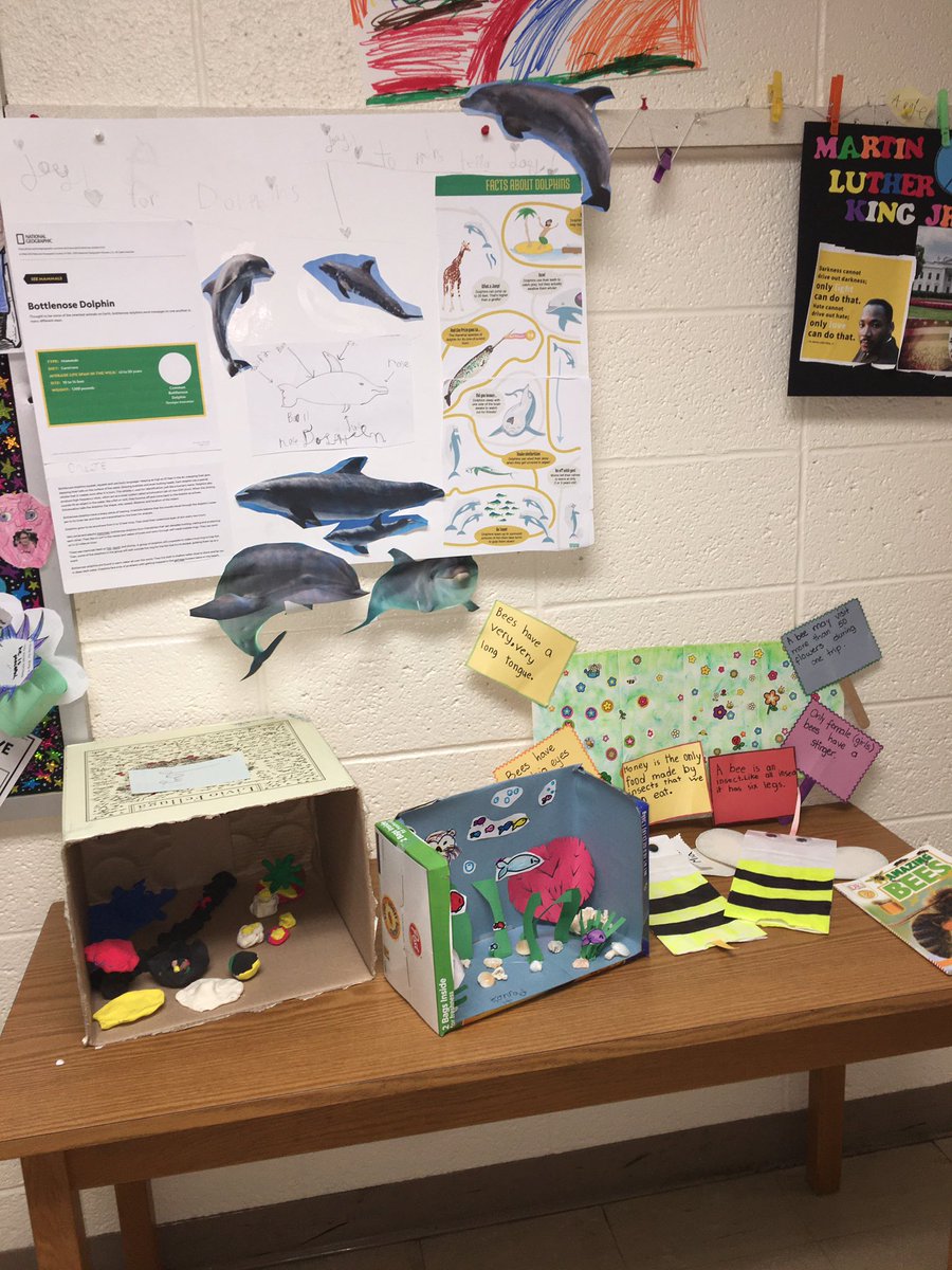jdeiert's tweet photo. #voiceandchoice take 1
Firsties flourish when given choice to complete a teacher designed or create own nonfiction book reports...guess what most chose? @HarrisonCSD @PUR_Principal @JLKanter @lisamaheralbi https://t.co/IUPgI2Foml