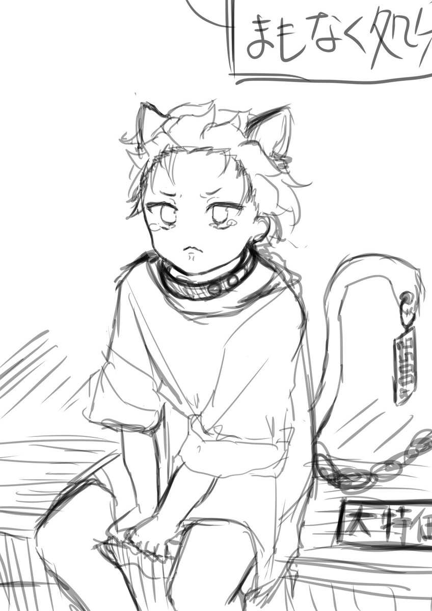 猫ス 