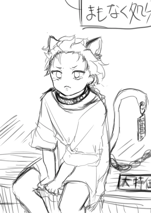 猫ス 