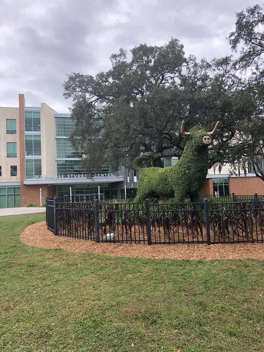 FaisonOPC1's tweet photo. Thank you to the University of South Florida for hosting this morning’s event! 
#gobulls  #FSMSDC  #FaisonOPC #Diversity #NMSDC https://t.co/MeJsp0MScp