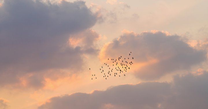 Hey! We're "on trend!" <a href="/mindbodygreen/">mindbodygreen</a> predicts "The way we discuss and approach death" will be 1 of 12 Health &amp; Wellness trends that will shape 2020! #shifting 
buff.ly/2RsFH0F