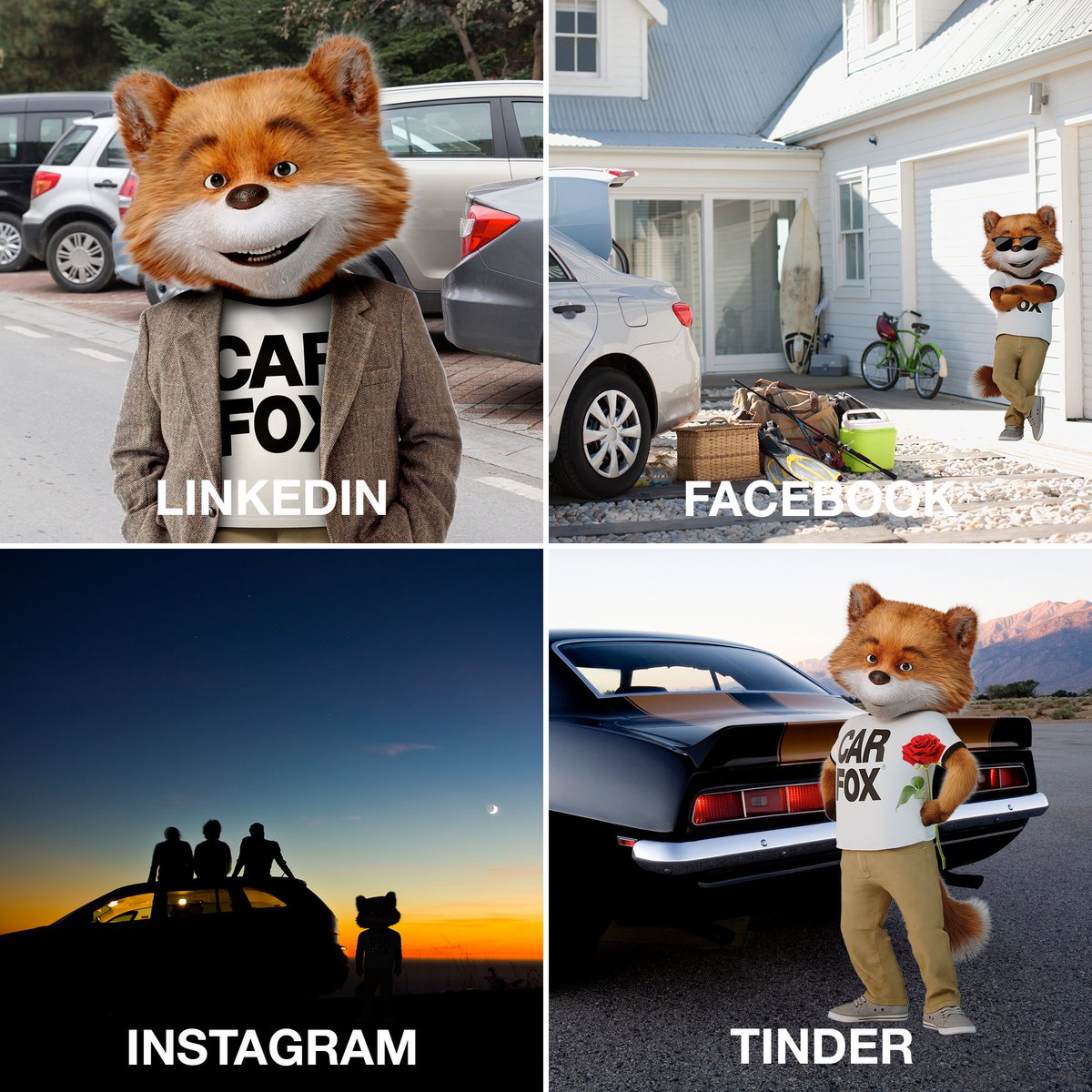 The #CARFOX loves a good challenge! 🦊 #DollyPartonChallenge