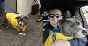 DogPetMag's tweet photo. News:Rescue Dog With Terminal Cancer Becomes Police K9 > Eddie the re https://t.co/SWtfAN9lw1 #dogs https://t.co/3XoQ2yWbei