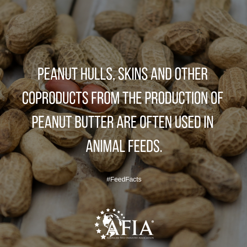 FeedFolks's tweet photo. Sustainability and animal feed go together like #peanutbutter and jelly #PeanutButterDay #FeedFacts #FeedFactFriday https://t.co/esF9d7NORf