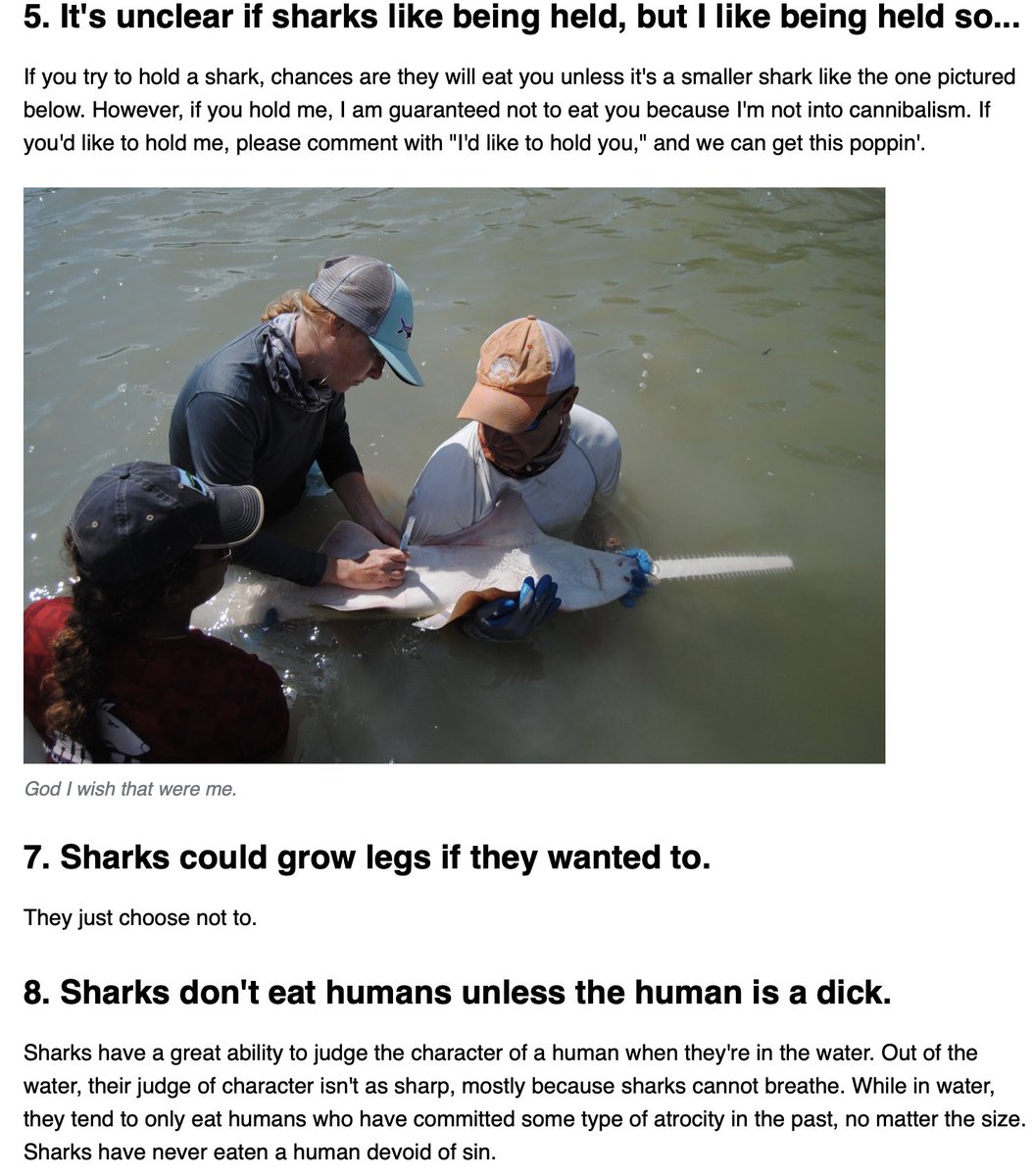 learning about sharks