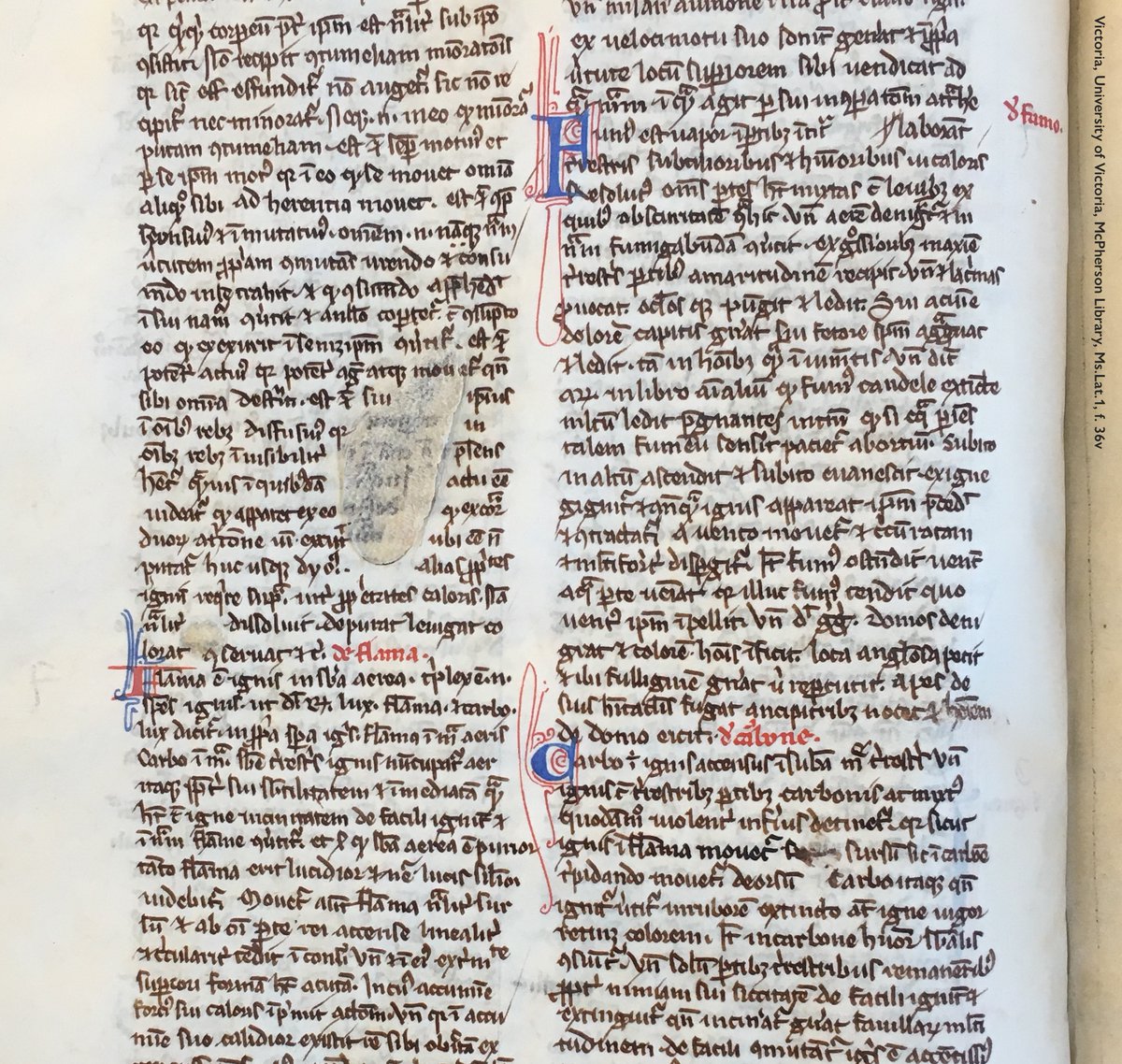 Photo of part of a leaf in a medieval manuscript showing 2 columns of Latin text, in black ink, with decorative initials in red & blue. An oddly-shaped blank space occupies the middle of the 1st column where the scribe has avoided writing over top of a flaw—consisting of a patch of rough, irregular texture—in the parchment surface. The manuscript is University of Victoria, McPherson Library, Ms.Lat.1, f. 36v.