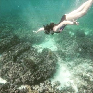 Vale_Frison's tweet photo. My last 2019 day
•
•
•
•
•
#daymaniatislands #oman #newyearseve #infondoalmar #indianocean #lookingforturtles #snorkeling #enjoylifeatthebeach #globetrotter #christmasholidays #chibenfiniscebencomincia #freedom https://t.co/4Mlset4lJm https://t.co/G6e6Wy4CAk