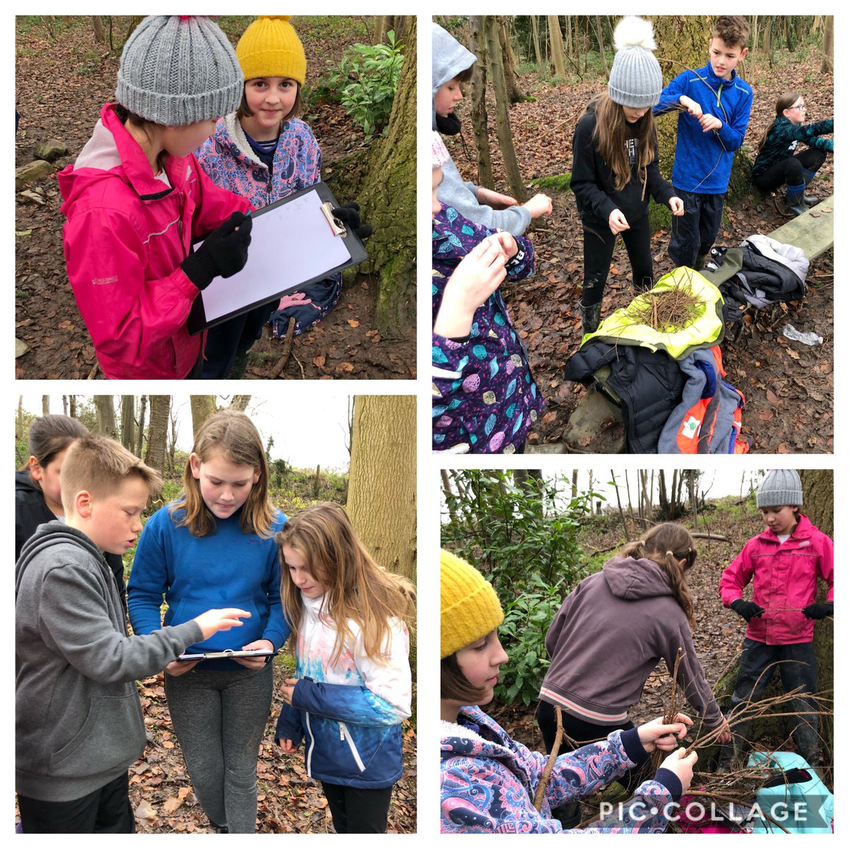 guilsfieldcp's tweet photo. We trusted Year 6 children to plan and make their own fires at forest schools today 🔥!! We learnt how difficult it is to keep the fire going, how to do so safely and roasted apple slices over the fires. What a great afternoon! #takingmeasuredrisks @ForestSchoolUK https://t.co/EDKePlRz9c