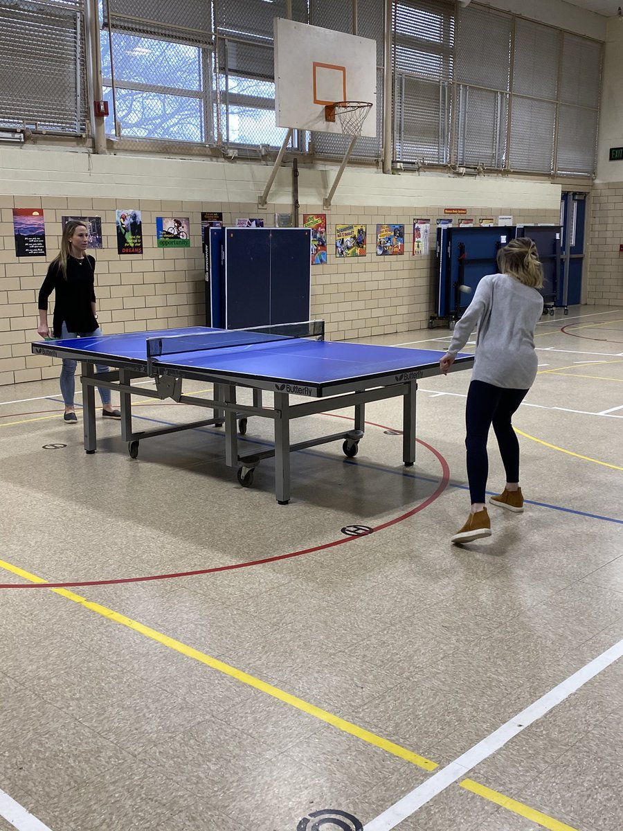 Morgan Stein tweet media