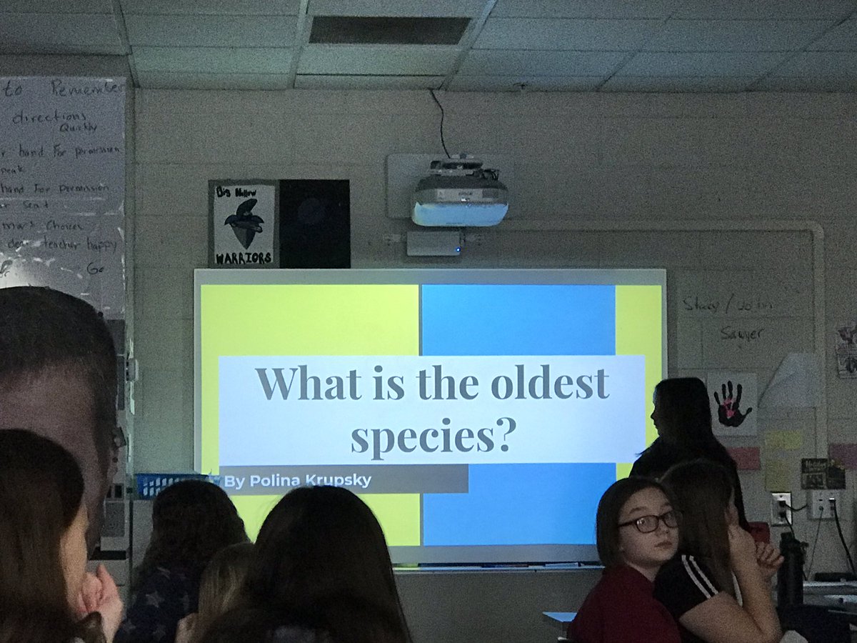 apeyrot1's tweet photo. Genius Hour presentations! They are awesome!!!! #theirown #science https://t.co/HafQ4yFXcf