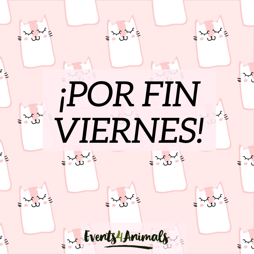 Events4Animals's tweet photo. Disfruta al máximo descansando, divirtiéndote con tus amigos, o realizando alguna actividad que te de miedo.
Atrévete a vivir alguna aventura.
Haz que tu vida sea algo más que respirar.
#Events4Animals #viernes #miedos #govegan #veganlife #VegansOfIg #vegansofspain #gato https://t.co/63R1omb7aA