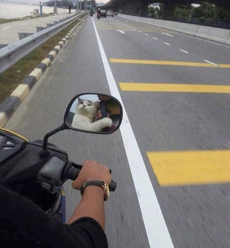 vanglockkk's tweet photo. rolê de moto com a gata https://t.co/xJpuZWcu1d