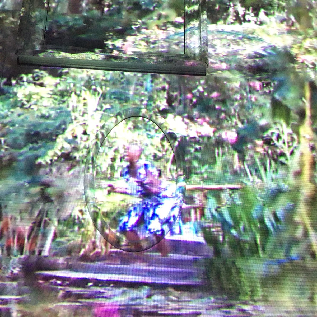 Still: detail from Ja’Tovia Gary: Giverny I (NÉGRESSE IMPÉRIALE)