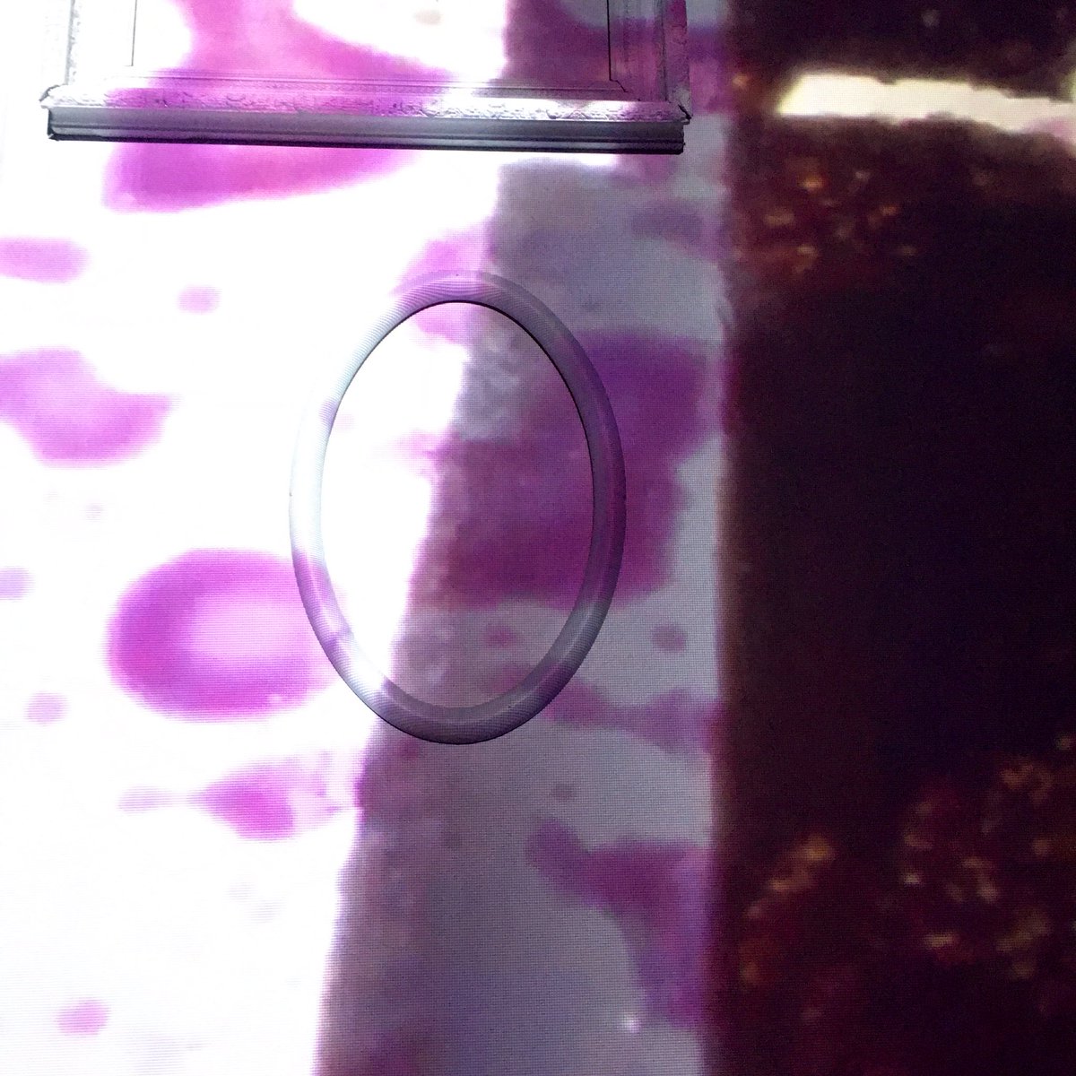 Detail of Ja’Tovia Gary: Giverny I (NÉGRESSE IMPÉRIALE)