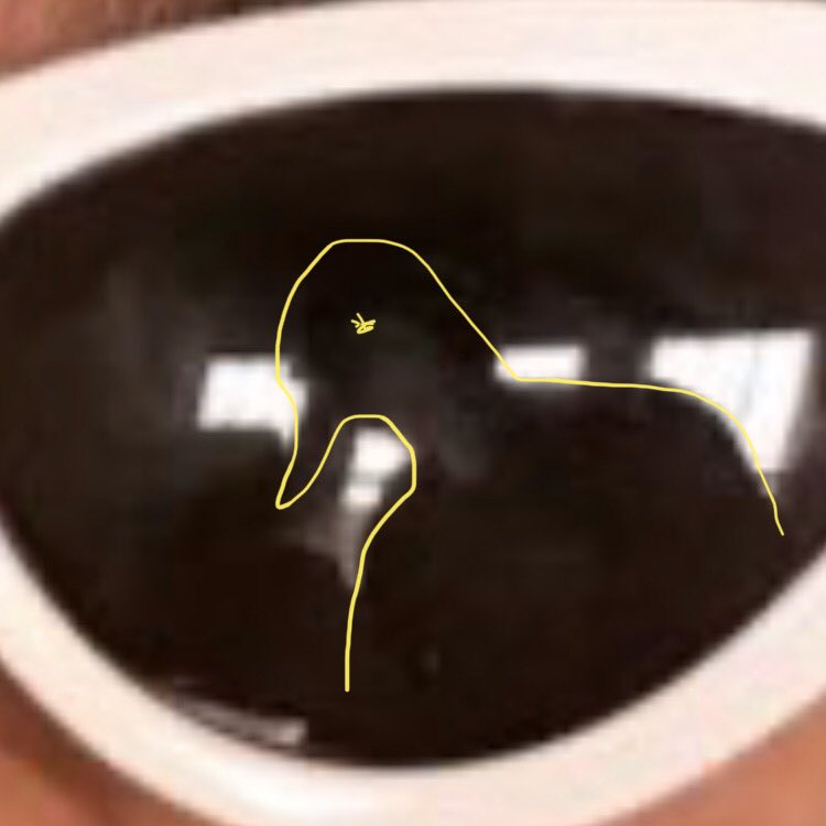 StansChri's tweet photo. I know there’s been some confusion regarding the true identity of the person running this account. Well I guess I have to do ur work for u. One can clearly make out the outline of my body in the reflection of his glasses— a duck. Yes this account is run by a duck. good day https://t.co/dtCrnGQwDI