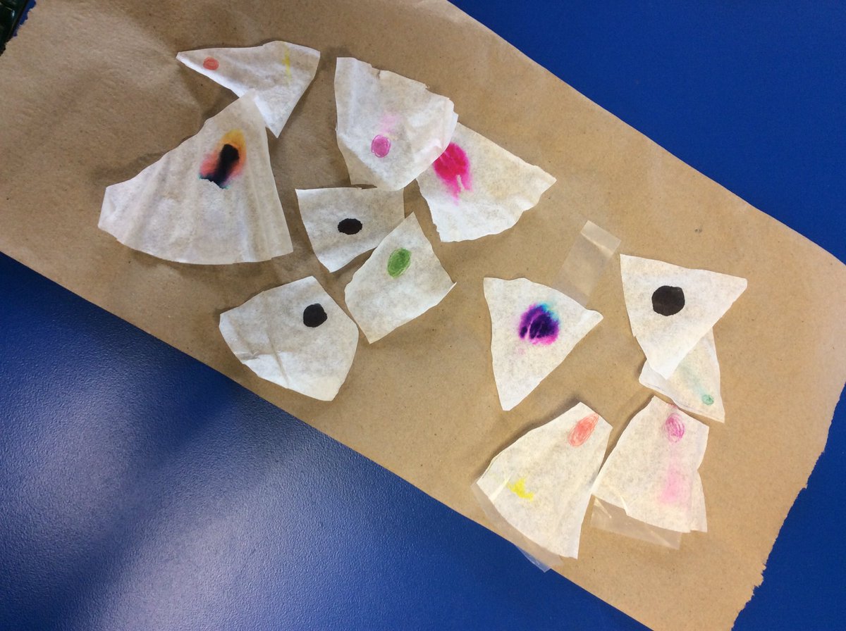 5W2 and 5S experimented with paper chromatography today in Science! 💡 #mtsdlearn @MTSD5thgrMrsW <a href="/MTSDmtes_jhes/">MTES</a>