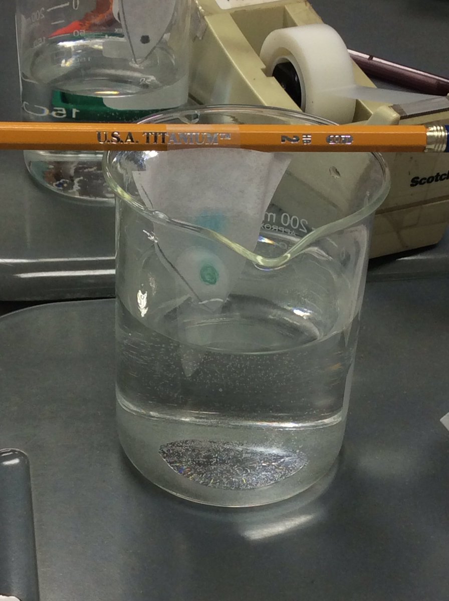 Jessica Winters tweet media