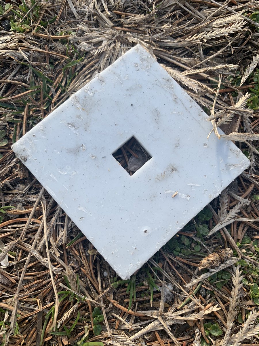 An ancient <a href="/Roblox/">Roblox</a> symbol, what could this mean?