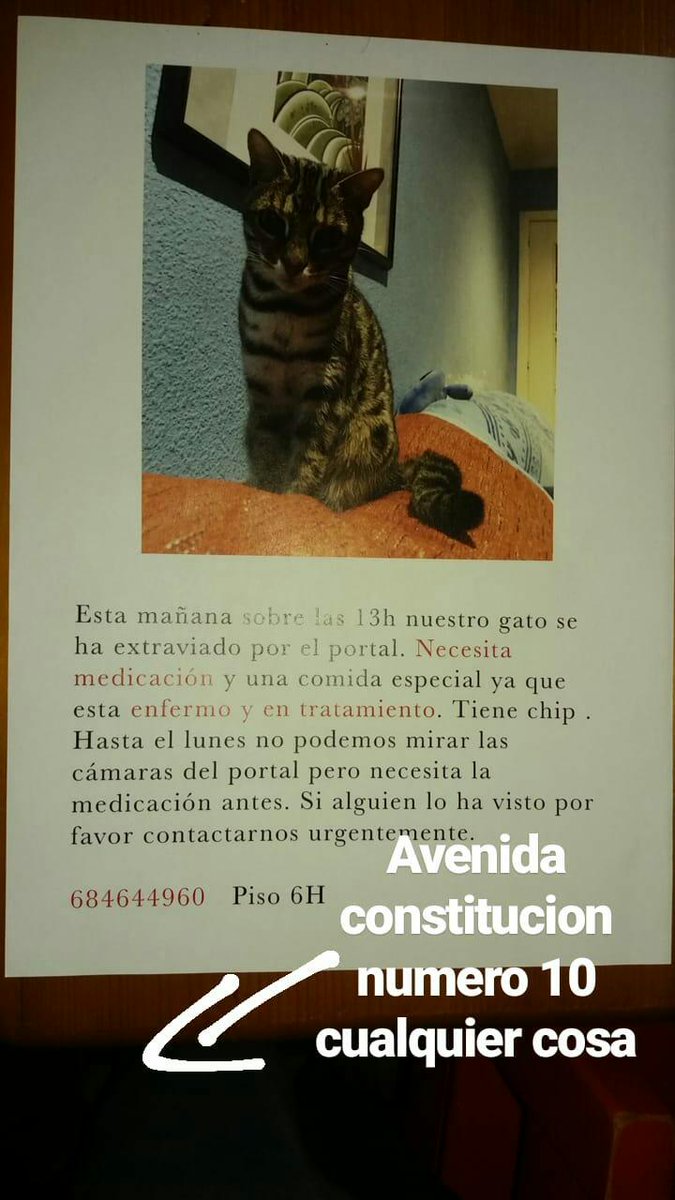 GermaanDuque's tweet photo. Difusion gente de Gijón centro porfavor https://t.co/6lkK5WnkPM
