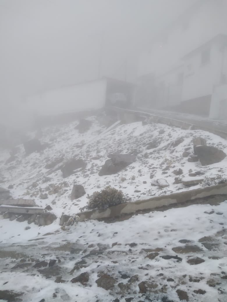 Sinfiltrover's tweet photo. #PorSiTeLoPerdiste #Perote #AguaNieve #Heladas #Veracruz La mañana de este viernes registraron autoridades de @PCEstatalVer caída de agua nieve en el Cofre de Perote. @VialidadXalapa @retioxalapa @Reporte_Indigo https://t.co/Cugq7vjcQm